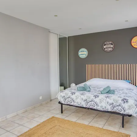 Villa Superbe Villa, 4 Chambres, Parking, Garage Et Piscine Genas